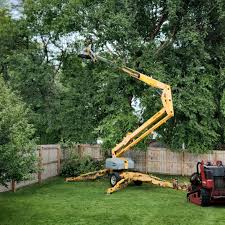 Best Emergency Tree Removal  in Eagle, NE